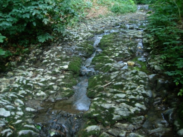 na potoku